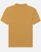 Back_3_c_43.jpg
